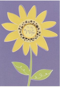 2223A WIFE